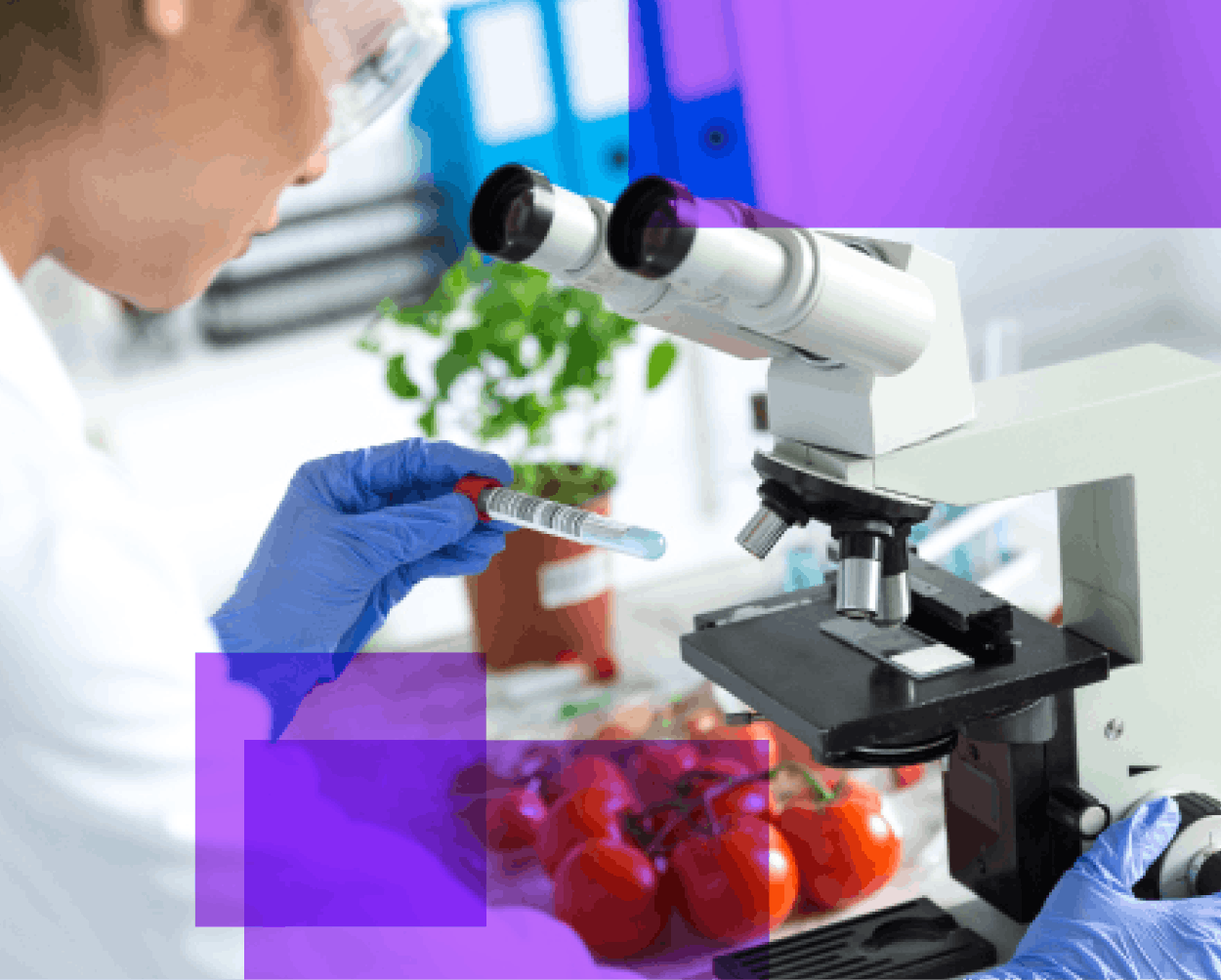 A woman wearing safety glasses leans over a microscope with a plant and tomatoes in the background.