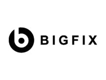 Big Fix logo