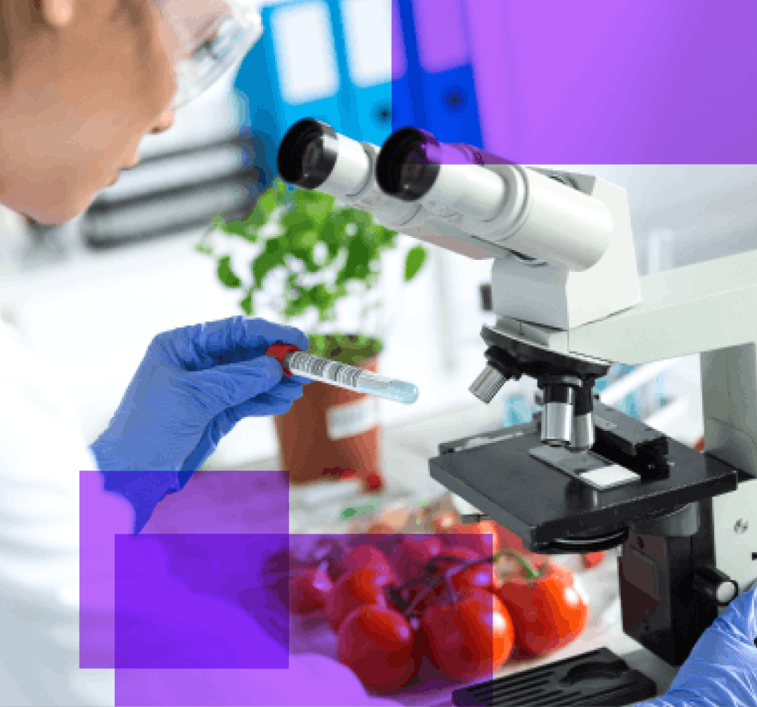 A woman wearing safety glasses leans over a microscope with a plant and tomatoes in the background.