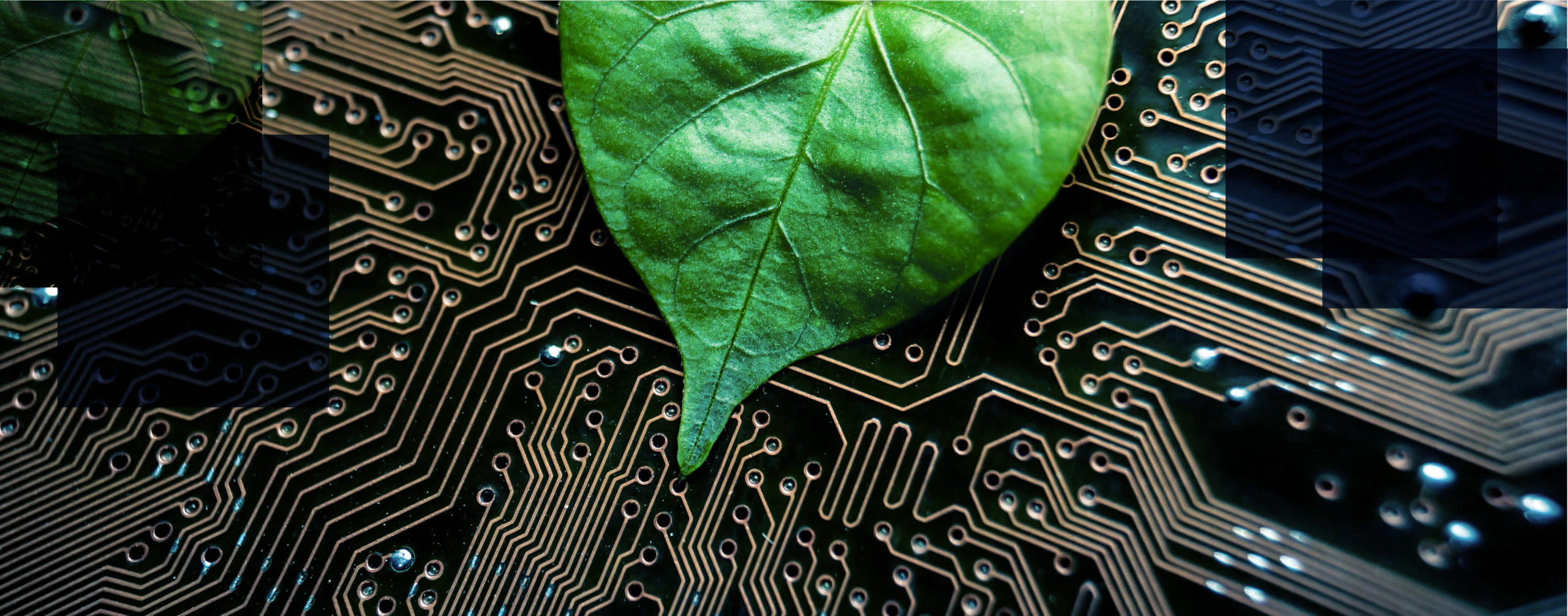EPA, Tech, Careers